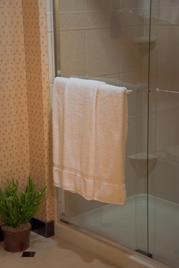 Homewood Suites By Hilton Rockville- Gaithersburg - thumb 24