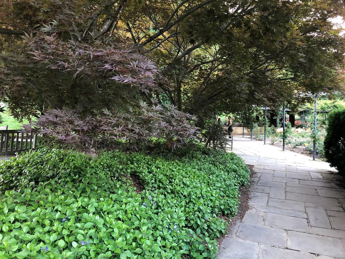 Zero Steps Close To Washigton,DC And Leisure World - thumb 29