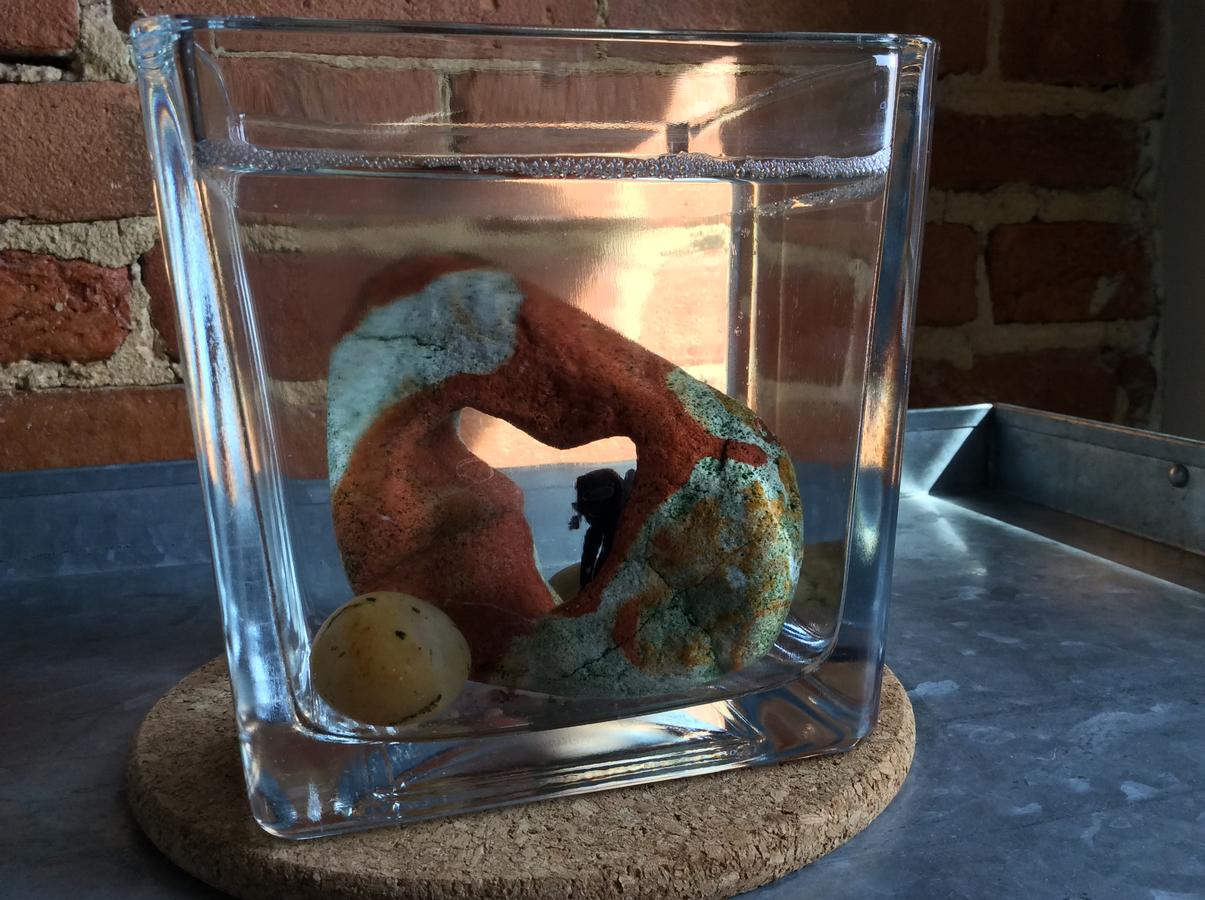 Inn At 2920 - thumb 4