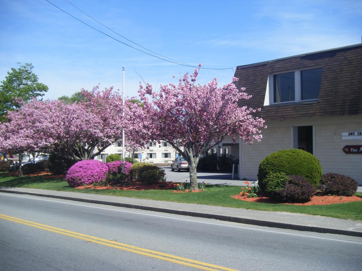 The Admiralty Inn & Suites - thumb 28