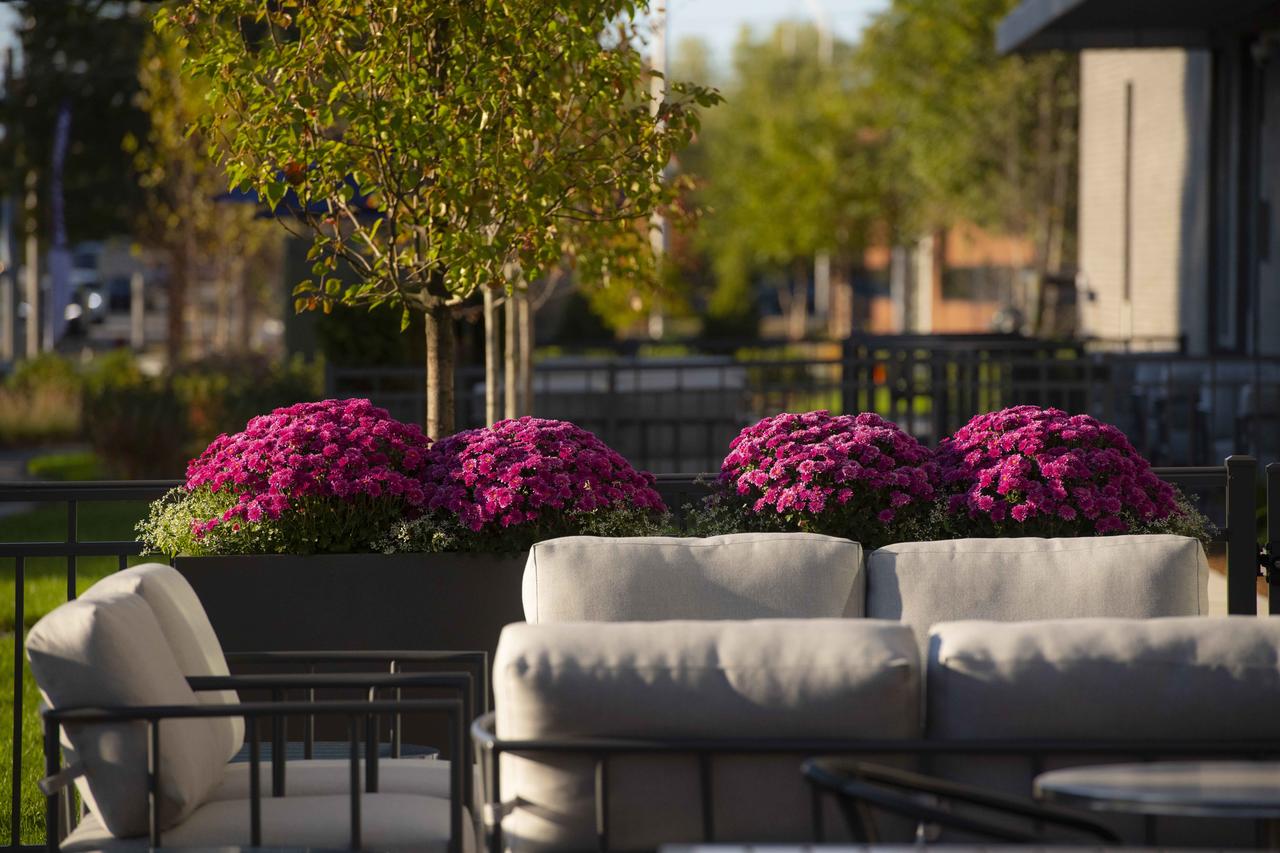 Residence Inn By Marriott Boston Natick - thumb 33