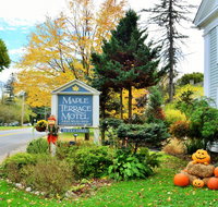 Maple Terrace Motel - Tourism Bookings