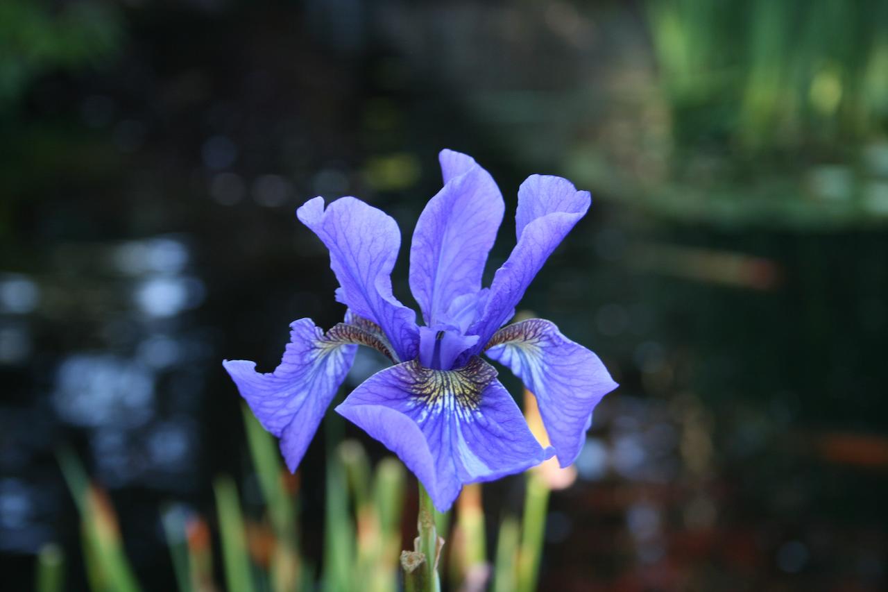 Pleasant Bay Village Resort - thumb 23