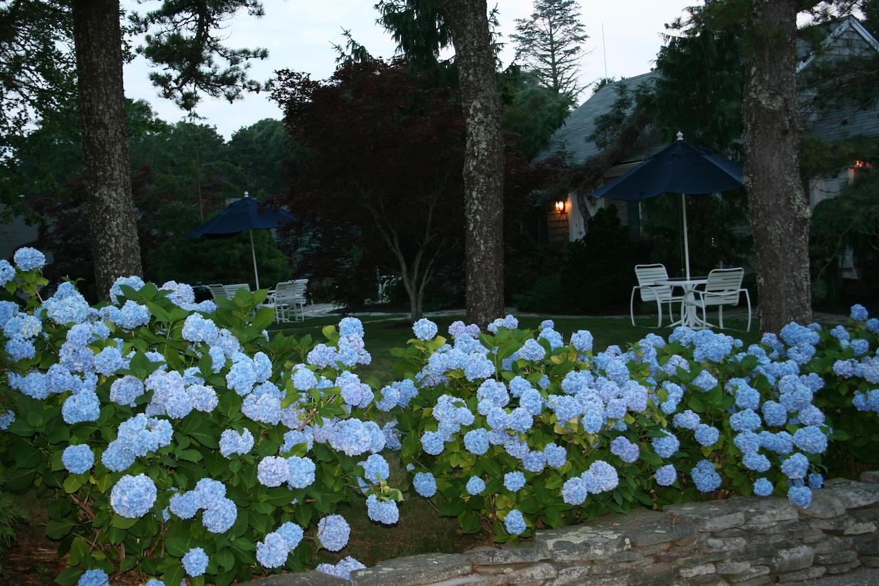 Pleasant Bay Village Resort - thumb 36