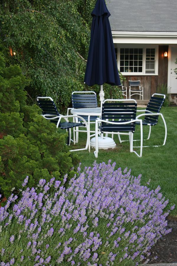 Pleasant Bay Village Resort - thumb 26