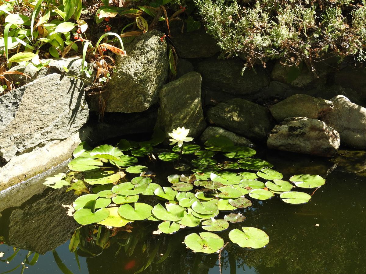 Chateau Du Lac Bed And Breakfast - thumb 13