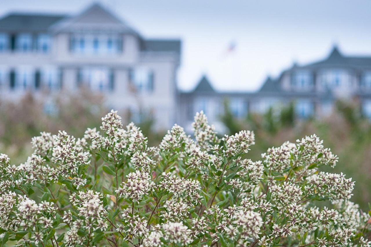 Harbor View Hotel - thumb 23