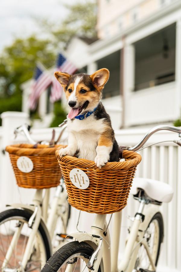 Harbor View Hotel - thumb 13