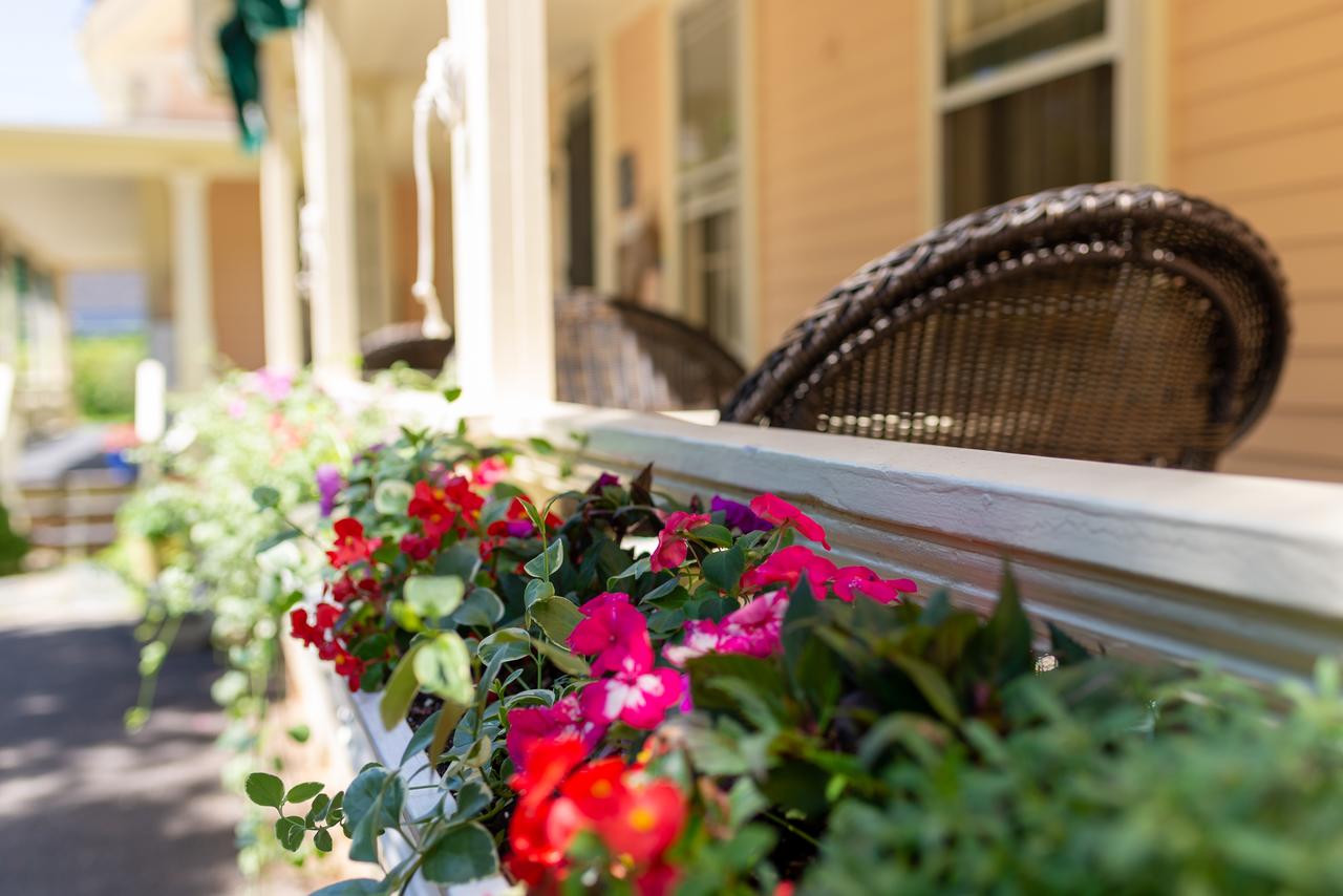 Addison Choate - thumb 38