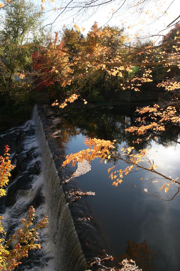Old Mill Inn - thumb 11