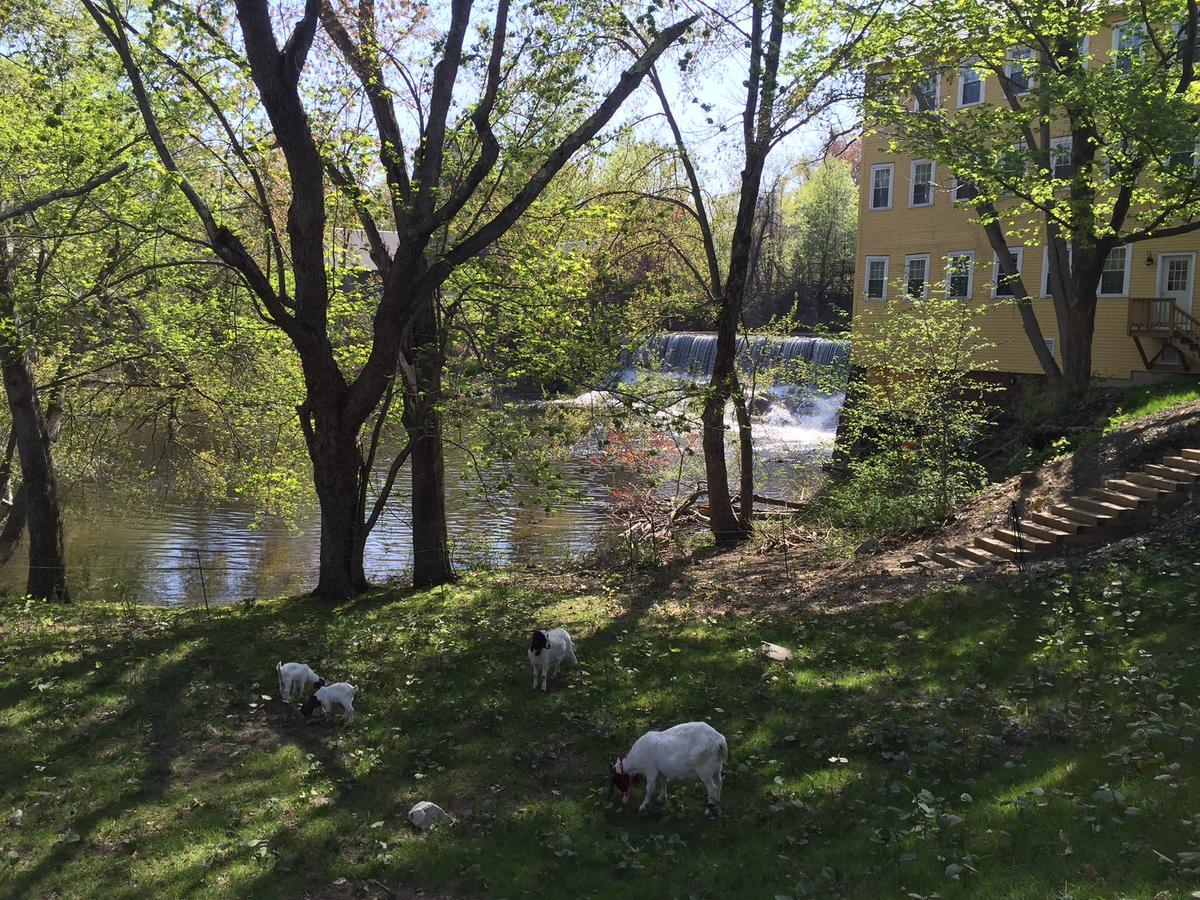 Old Mill Inn - thumb 17