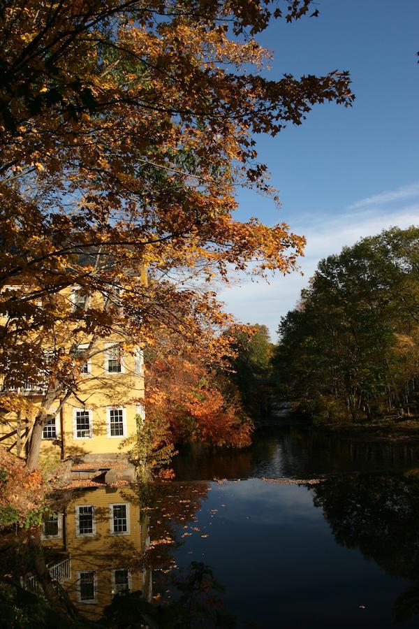 Old Mill Inn - thumb 9