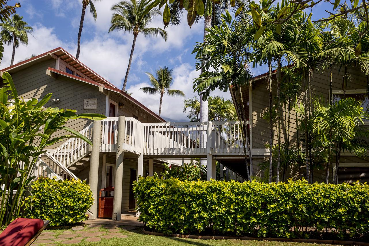 Aina Nalu - Two Bedroom Condo - thumb 14
