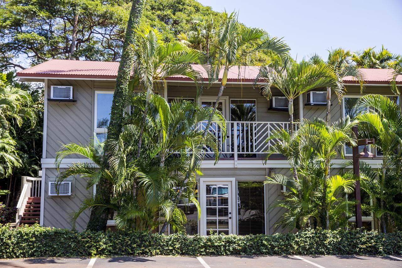 Aina Nalu - Two Bedroom Condo - thumb 2