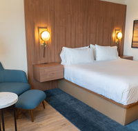 Holiday Inn Express  Suites Detroit Downtown - USA Accommodation