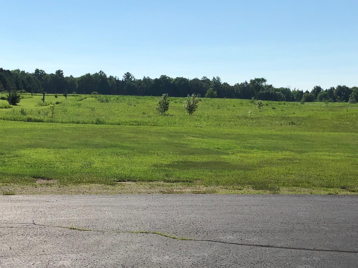 Village Inn Motel - thumb 13