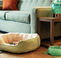 Home2 Suites By Hilton Grand Rapids North - Tourism Bookings