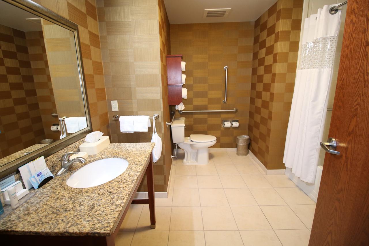 Hampton Inn Detroit/Auburn Hills-North - thumb 12