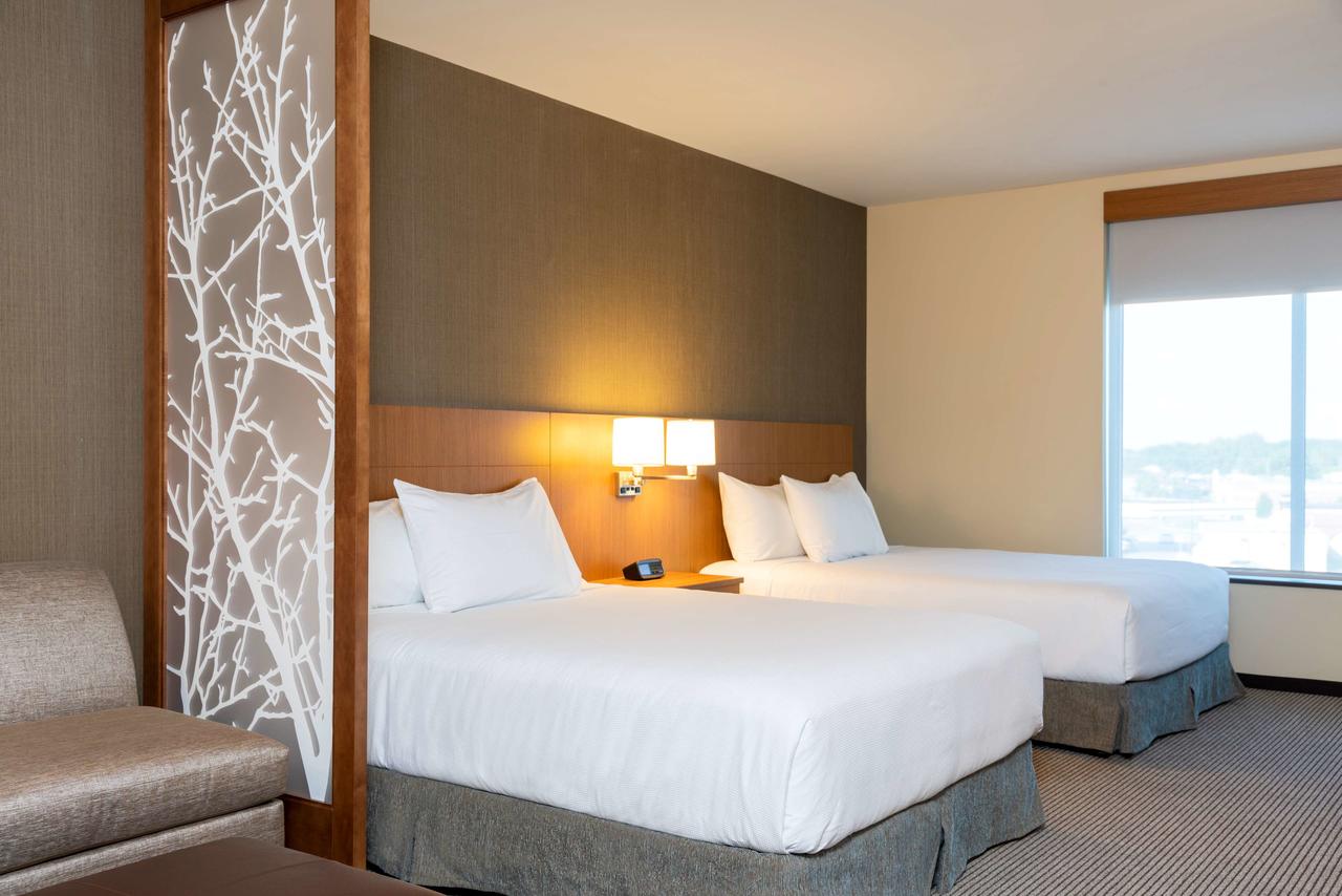 Hyatt Place Flint/Grand Blanc - thumb 27