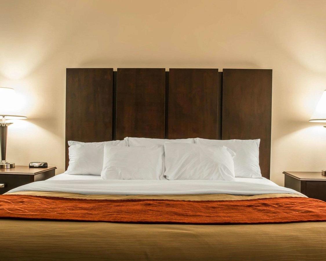 Comfort Inn & Suites Fenton - thumb 32