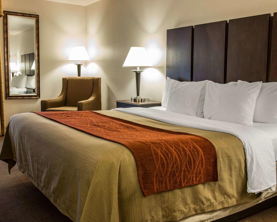 Comfort Inn & Suites Fenton - thumb 22