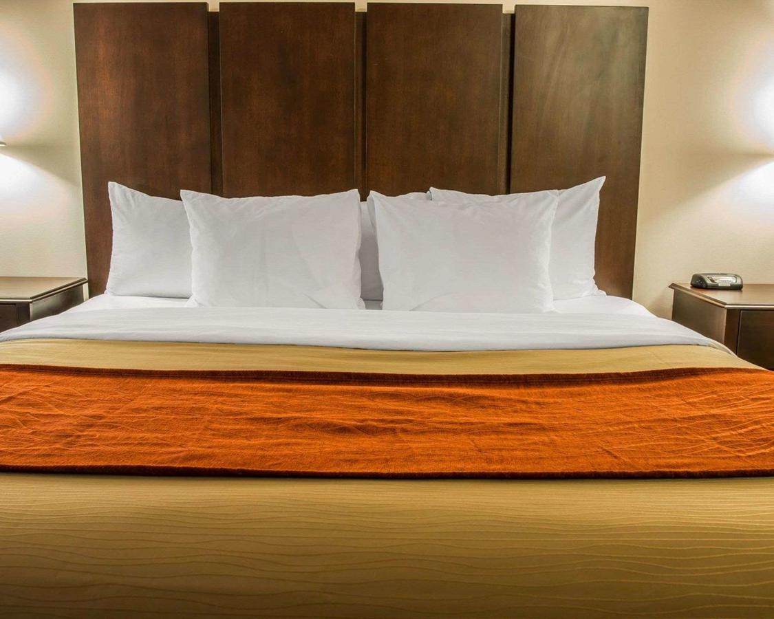 Comfort Inn & Suites Fenton - thumb 26