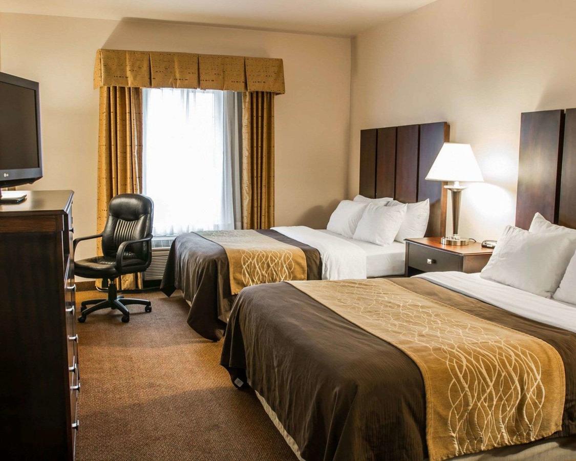 Comfort Inn & Suites Fenton - thumb 5