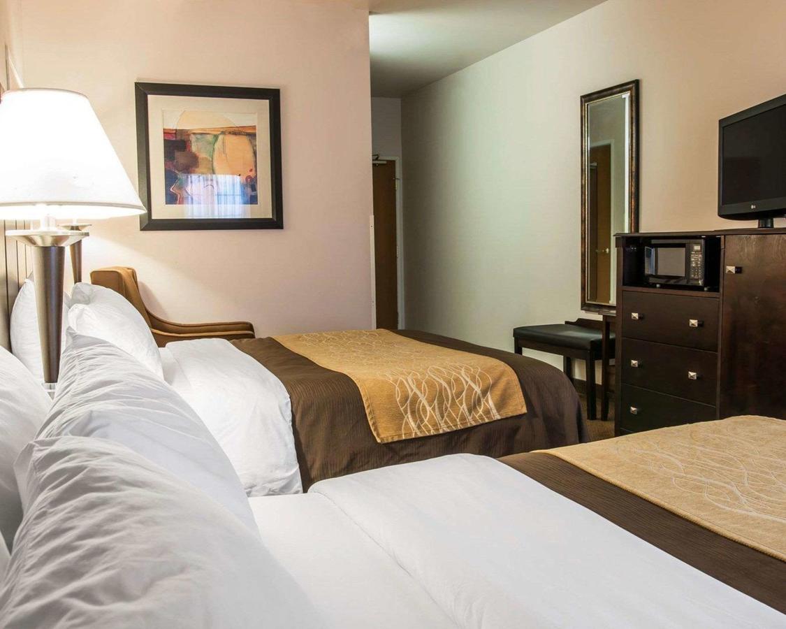 Comfort Inn & Suites Fenton - thumb 43