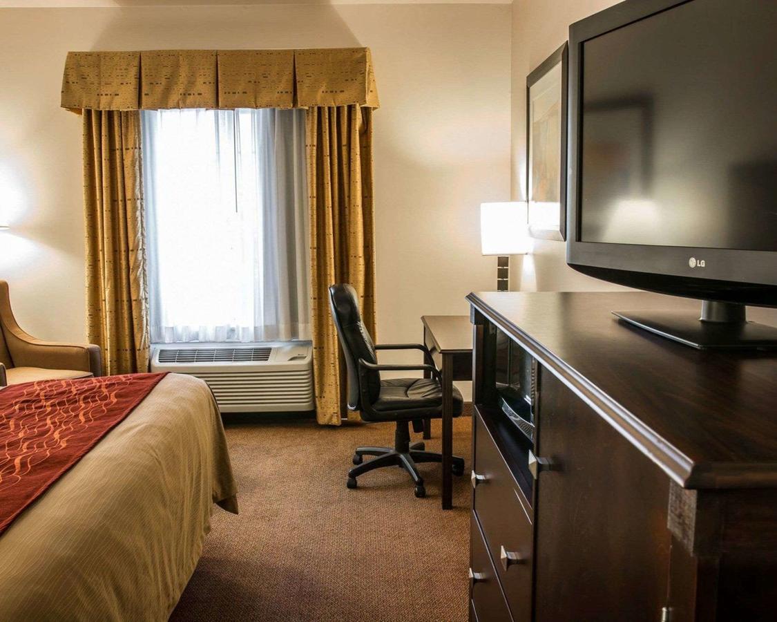 Comfort Inn & Suites Fenton - thumb 28