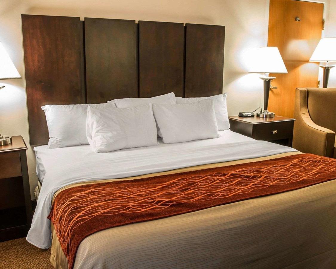 Comfort Inn & Suites Fenton - thumb 14
