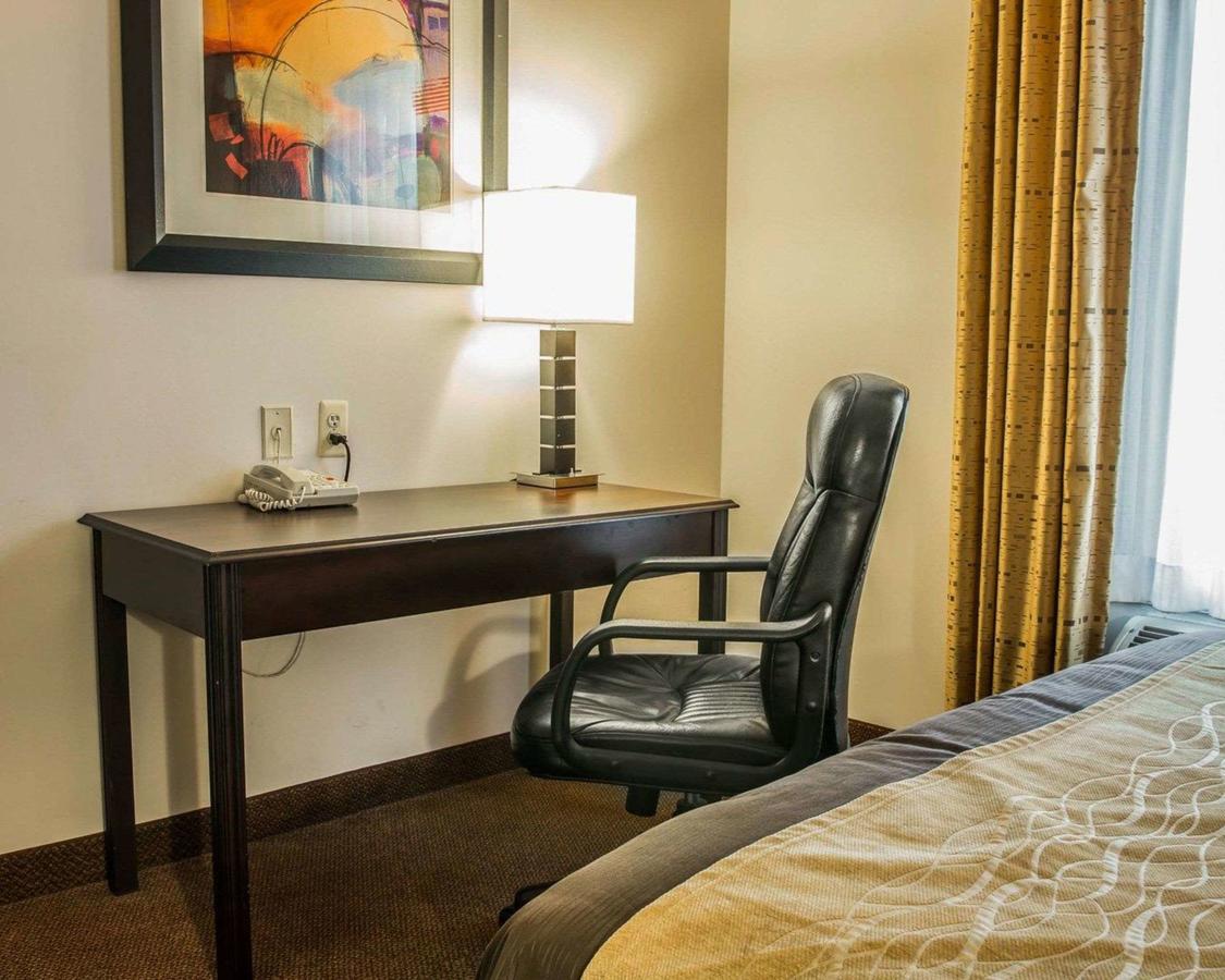 Comfort Inn & Suites Fenton - thumb 33