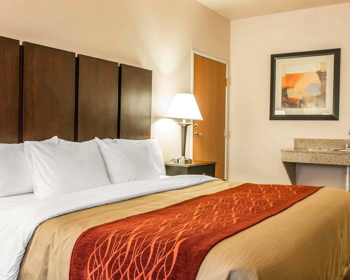 Comfort Inn & Suites Fenton - thumb 29