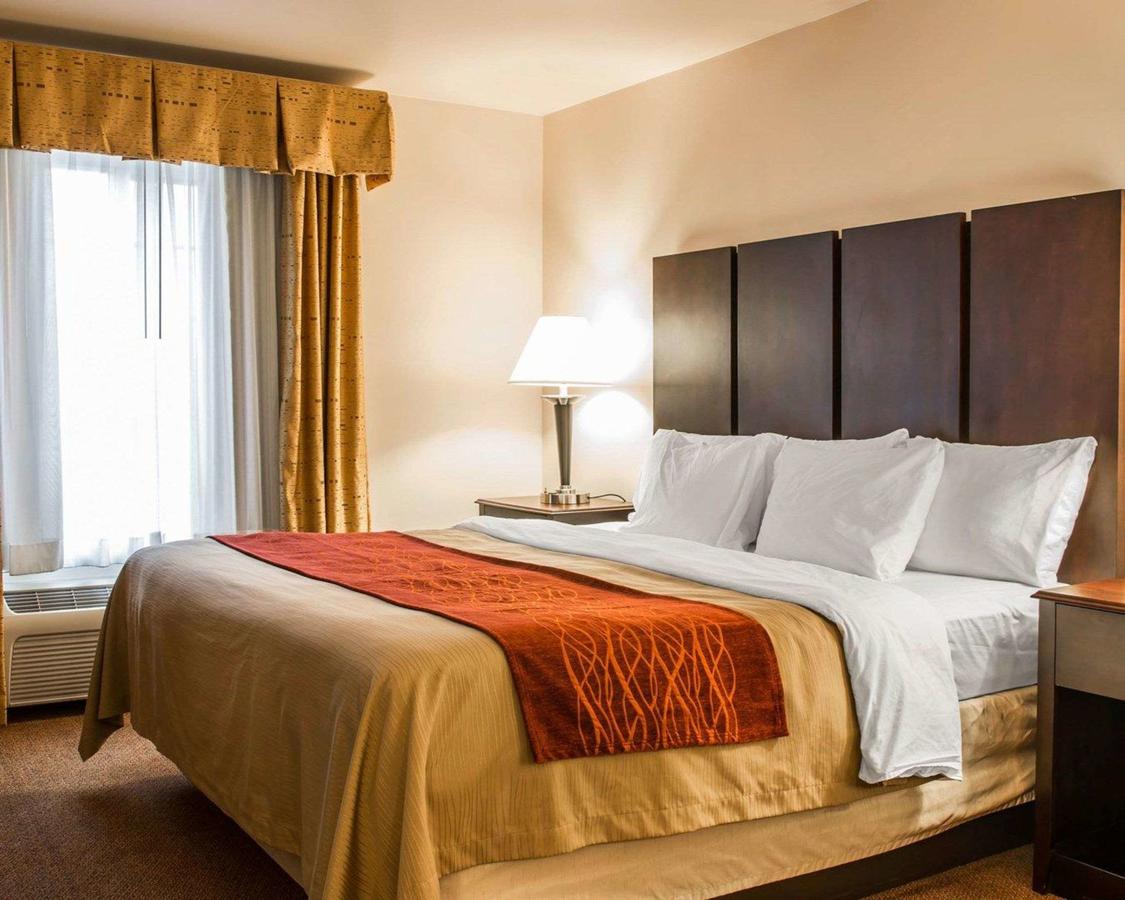 Comfort Inn & Suites Fenton - thumb 15