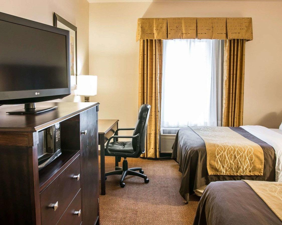 Comfort Inn & Suites Fenton - thumb 10