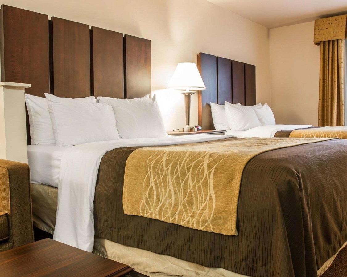 Comfort Inn & Suites Fenton - thumb 2