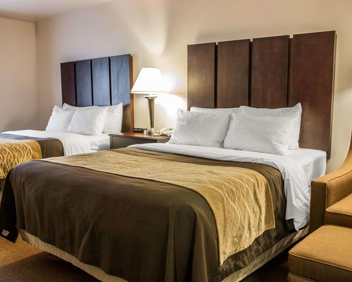 Comfort Inn & Suites Fenton - thumb 31