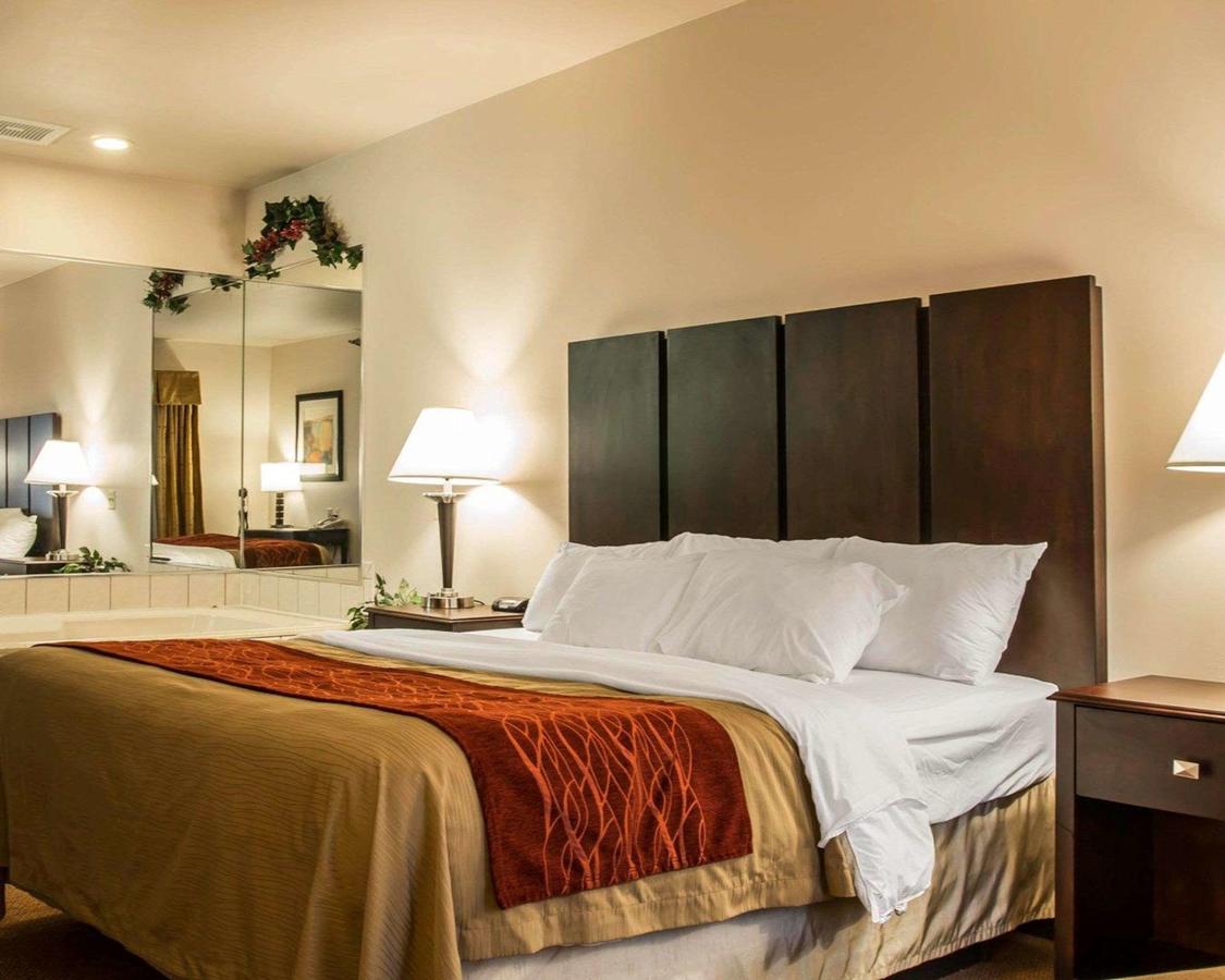 Comfort Inn & Suites Fenton - thumb 21
