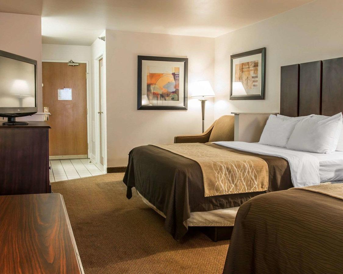 Comfort Inn & Suites Fenton - thumb 25