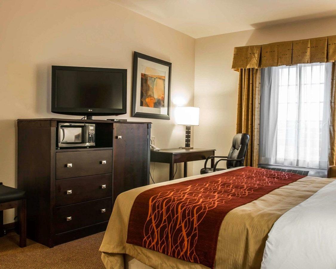 Comfort Inn & Suites Fenton - thumb 27