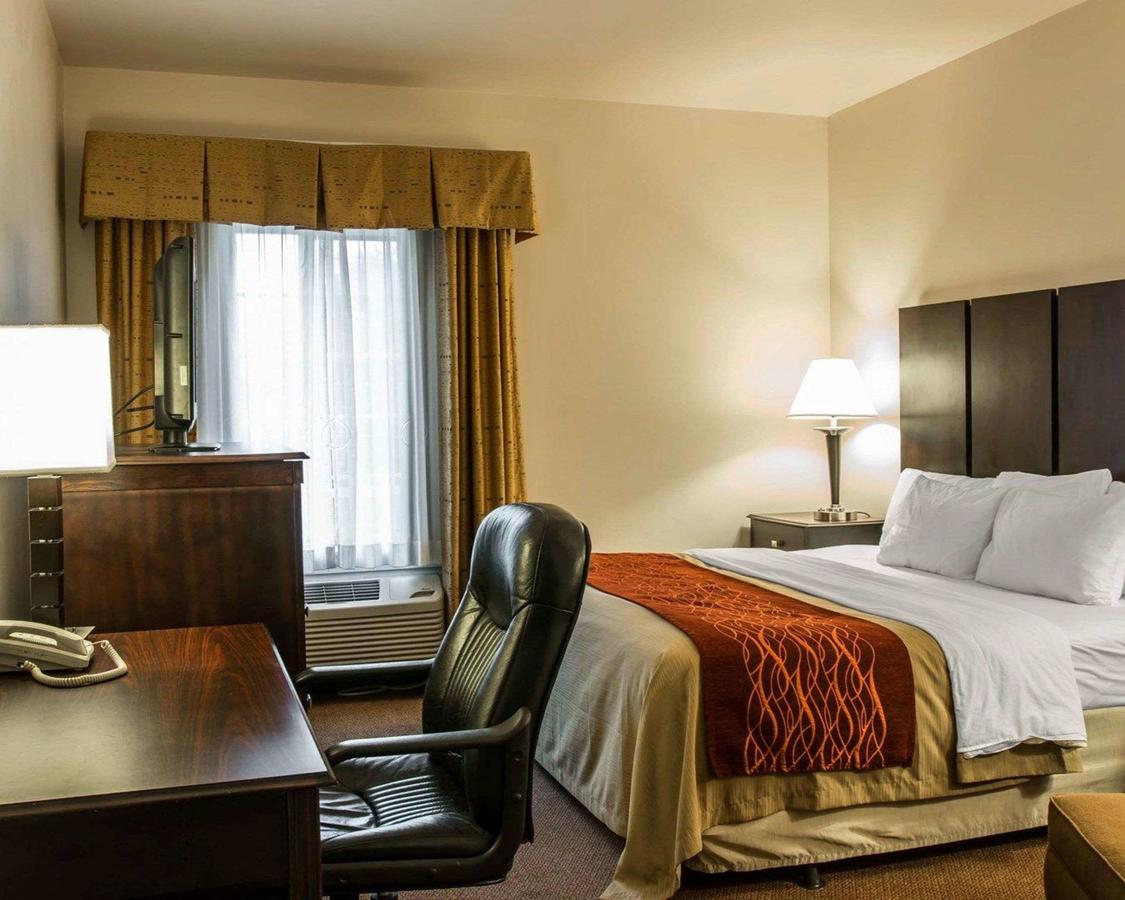 Comfort Inn & Suites Fenton - thumb 36