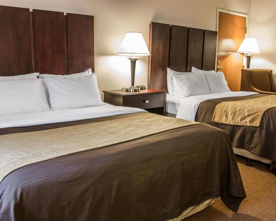 Comfort Inn & Suites Fenton - thumb 38