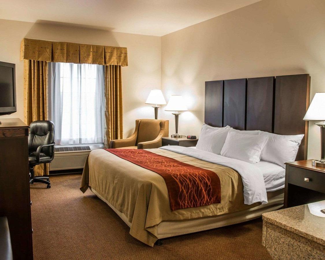 Comfort Inn & Suites Fenton - thumb 4