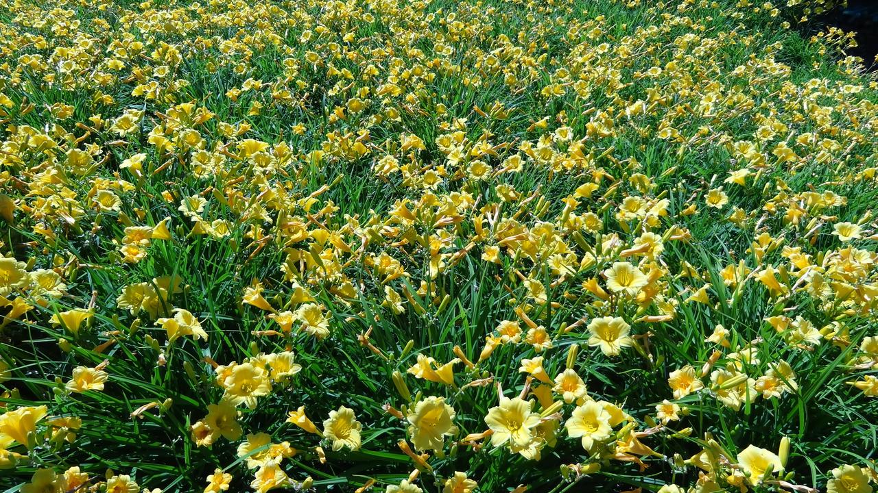 @ Michigan Inn & Lodge - thumb 43