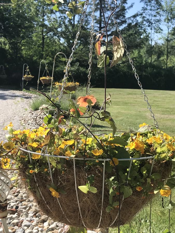 Martha's Vineyard B & B - thumb 13