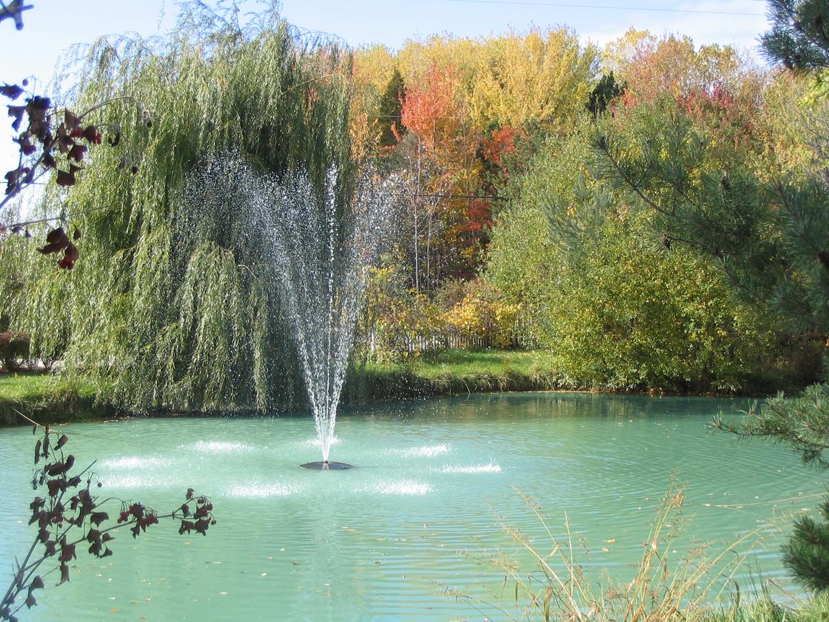 Martha's Vineyard B & B - thumb 34