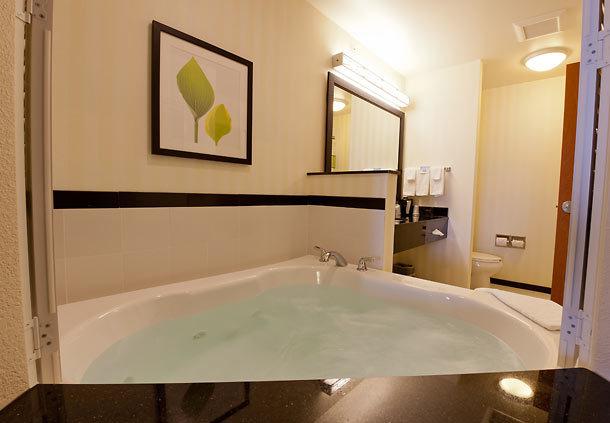 Fairfield Inn And Suites Flint Fenton - thumb 13