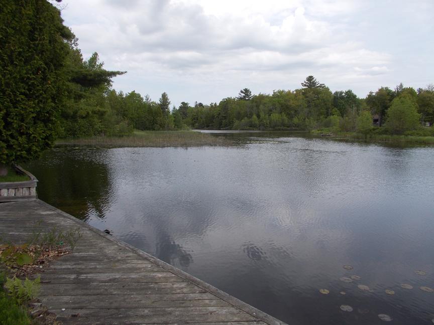 Riverdale Hideaway On Manistique's Indian River Cottage - thumb 7