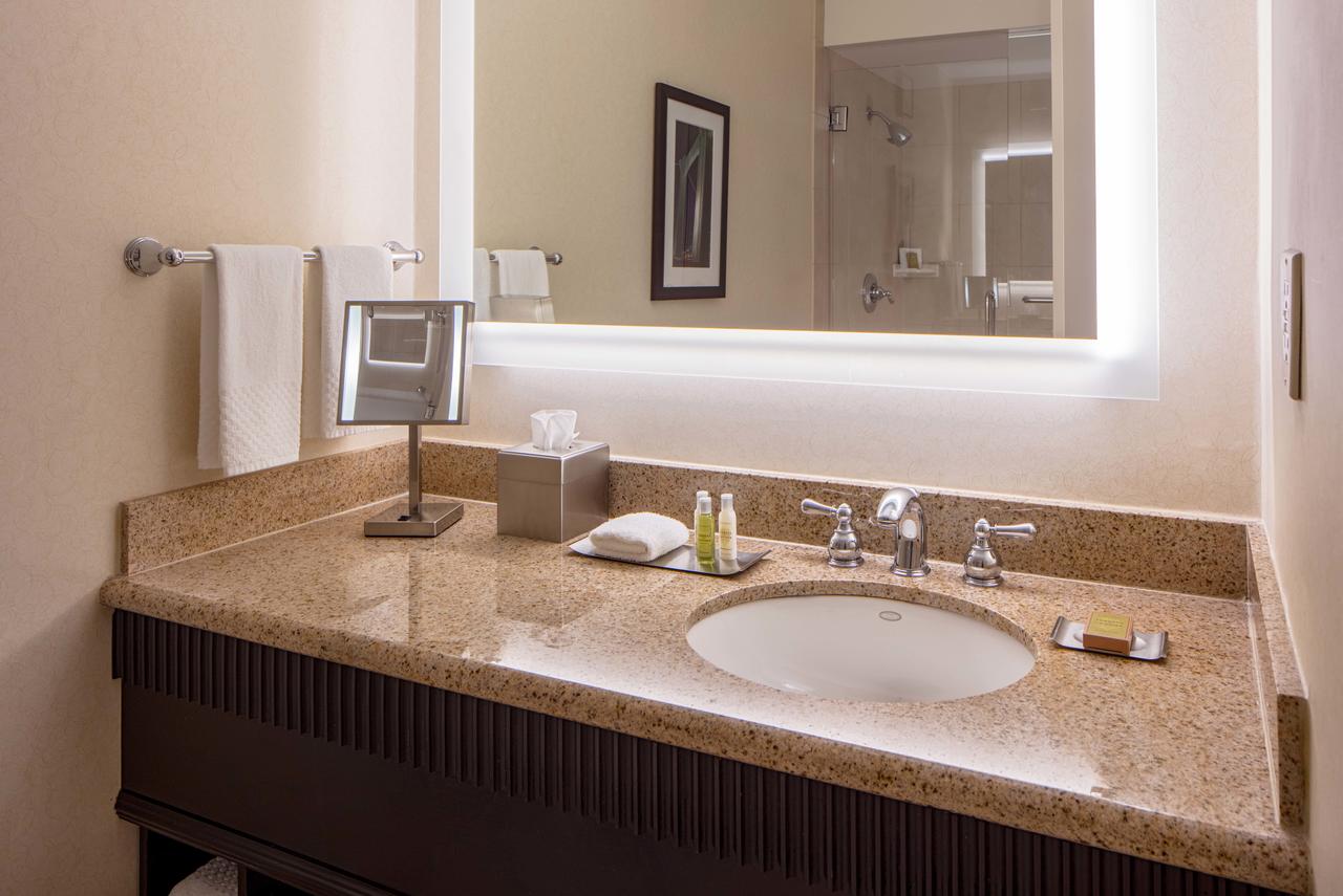 DoubleTree Suites By Hilton Minneapolis - thumb 23