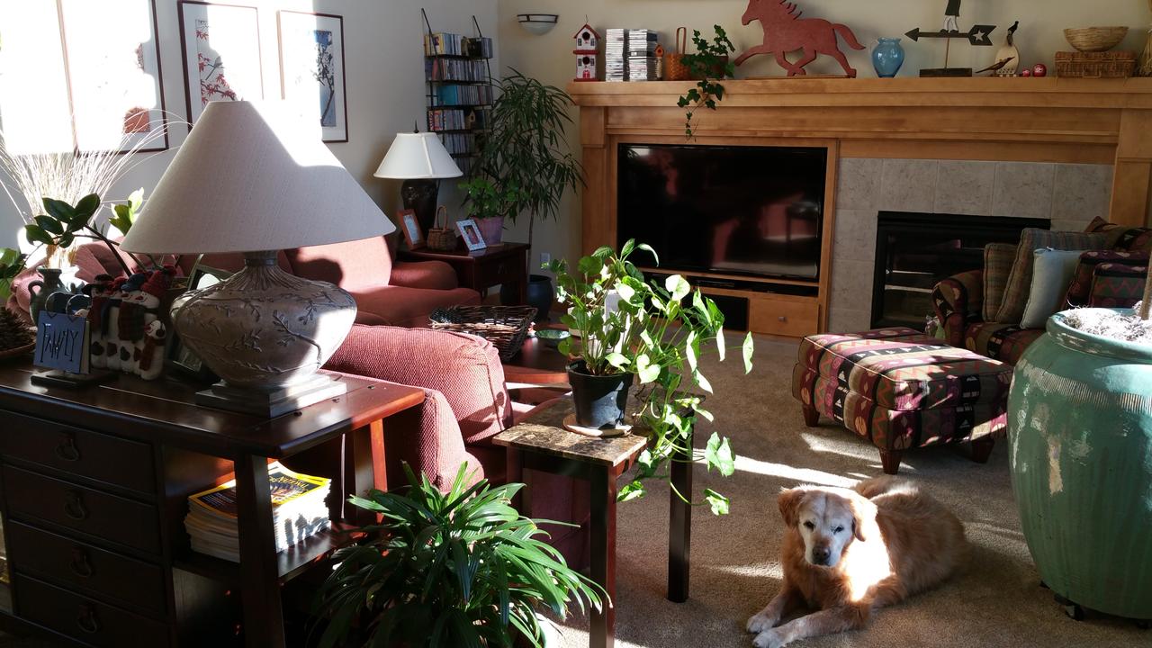 Cozy Northwoods Suite - thumb 16