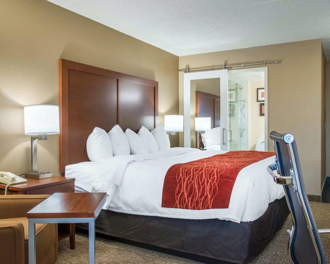 Comfort Inn Eden Prairie - Minneapolis - thumb 12